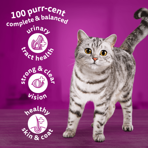 Whiskas 7 shop kg online